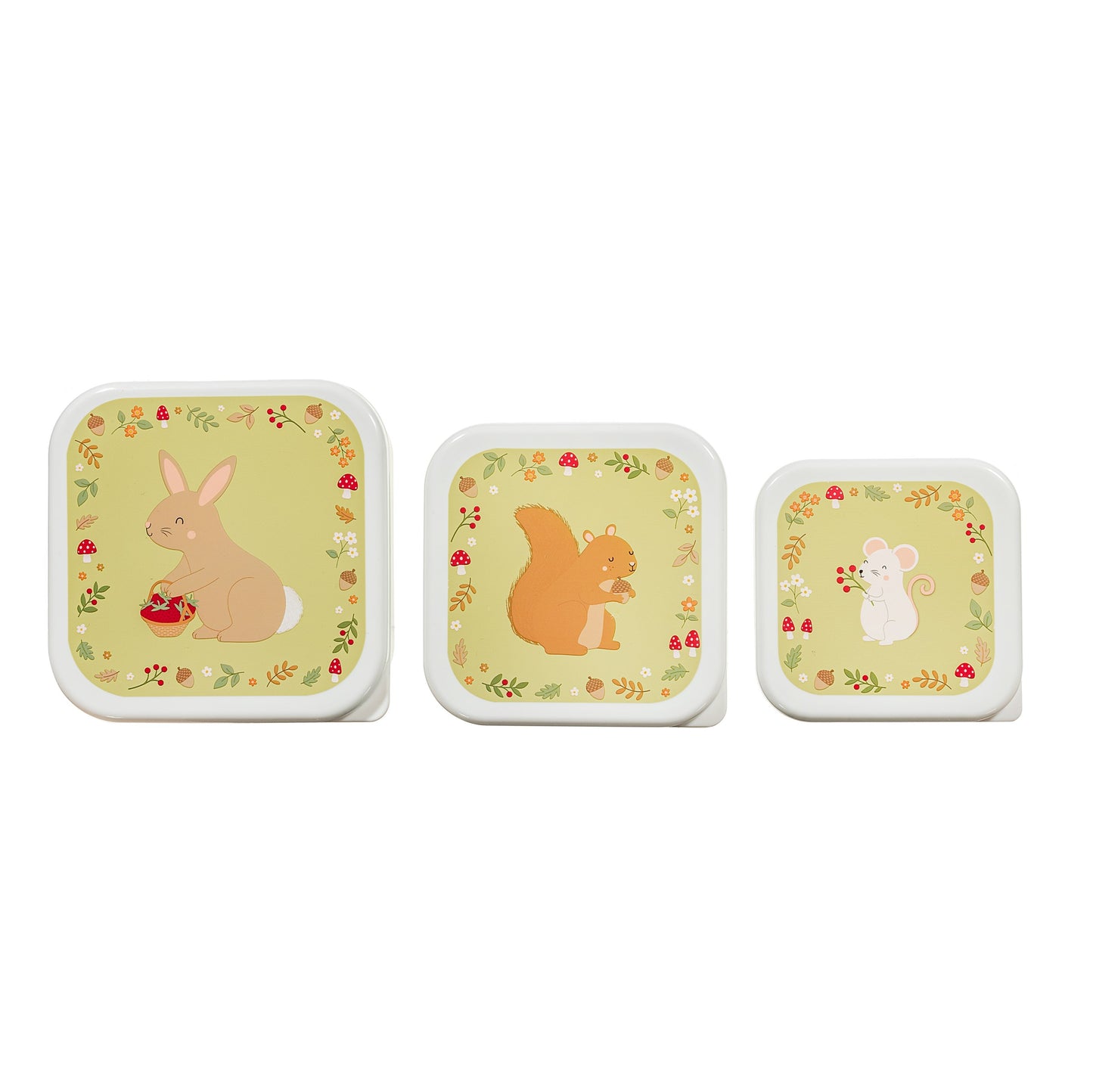 Garden Friends Lunch Boxes - Set Of 3