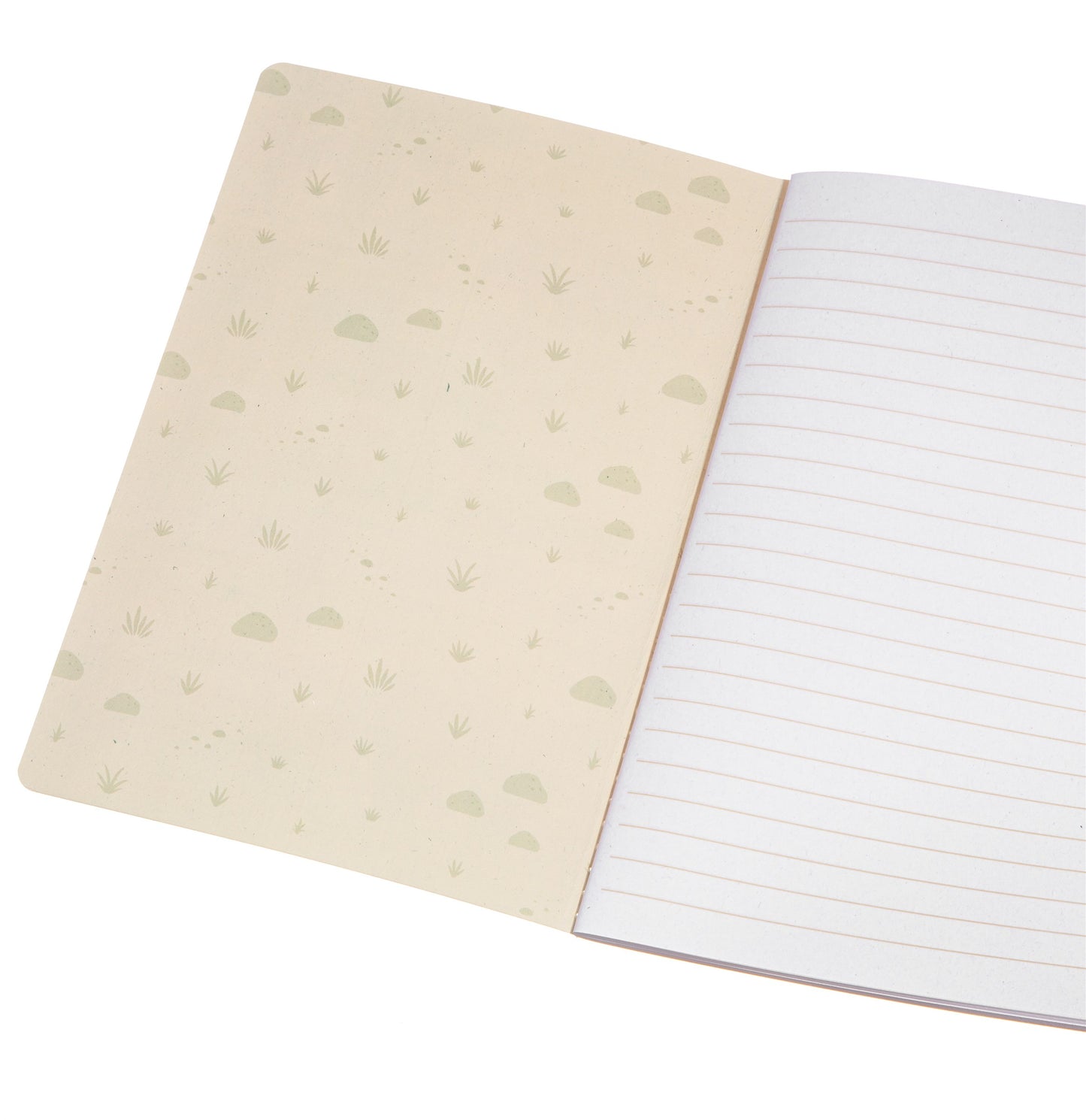 Desert Dino A5 Notebook