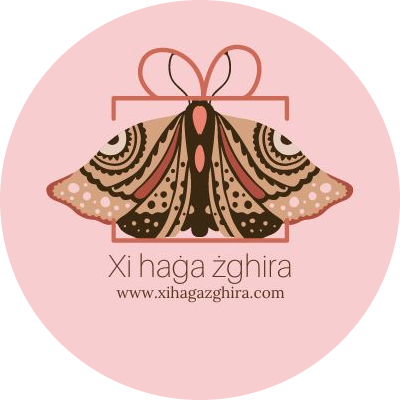 Xi haġa żghira