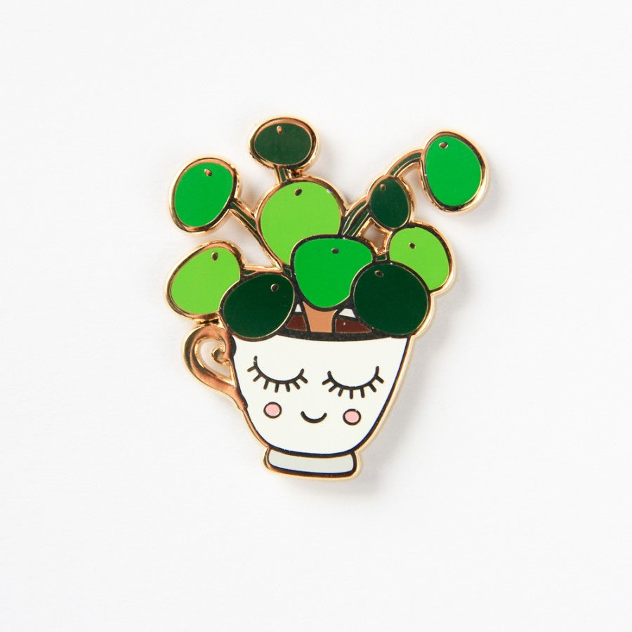pilea white pin