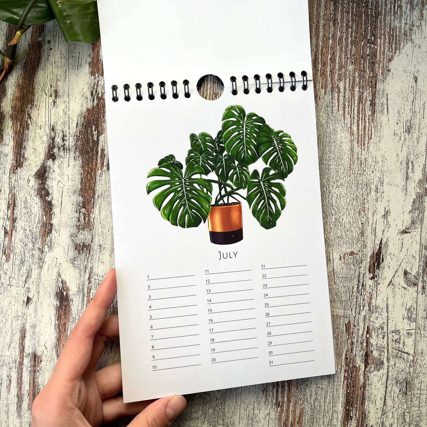 A5 calendar with green plants in without year