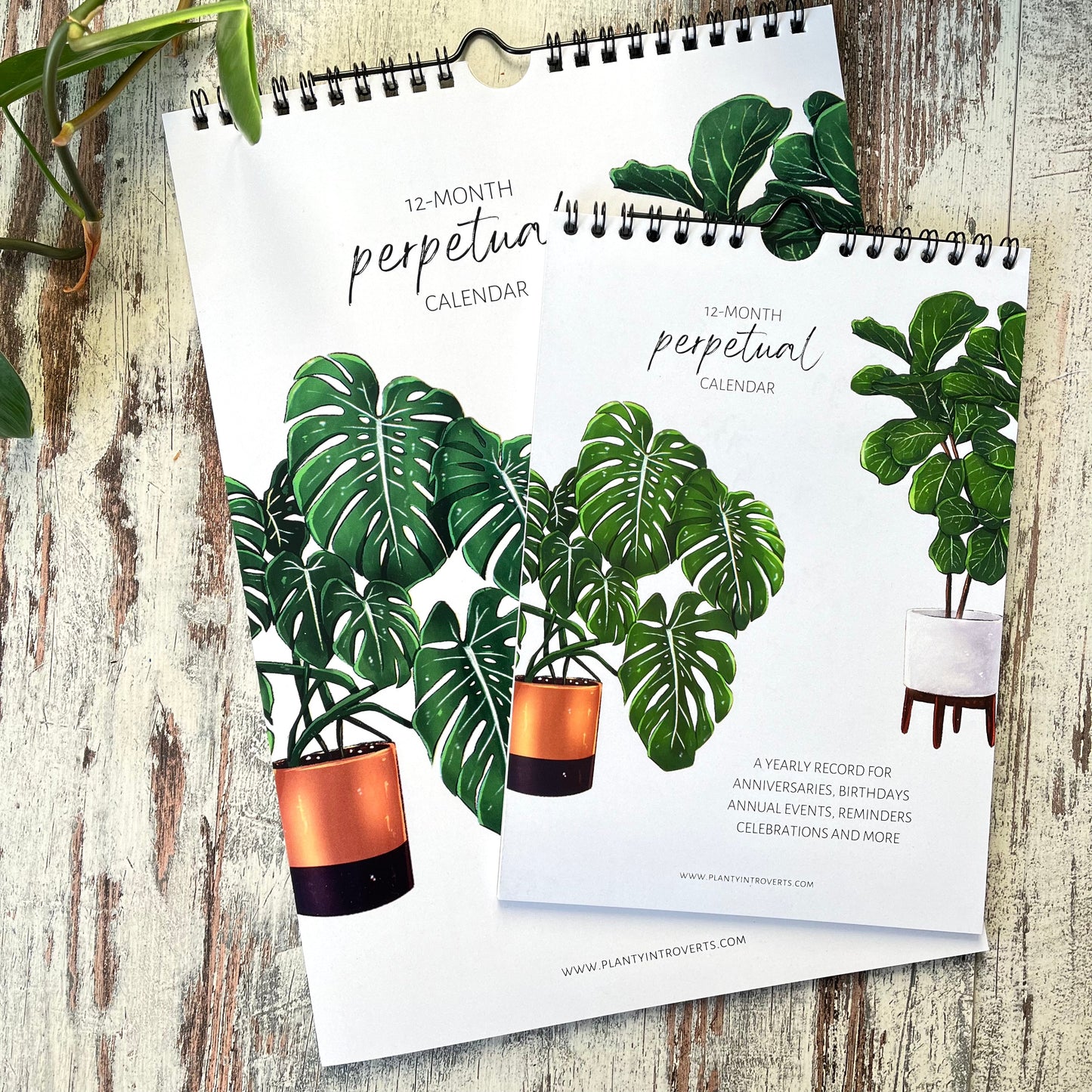 A5 calendar with green plants in without year