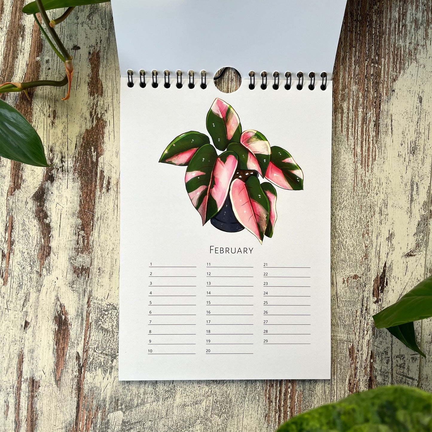 A5 calendar with green plants in without year
