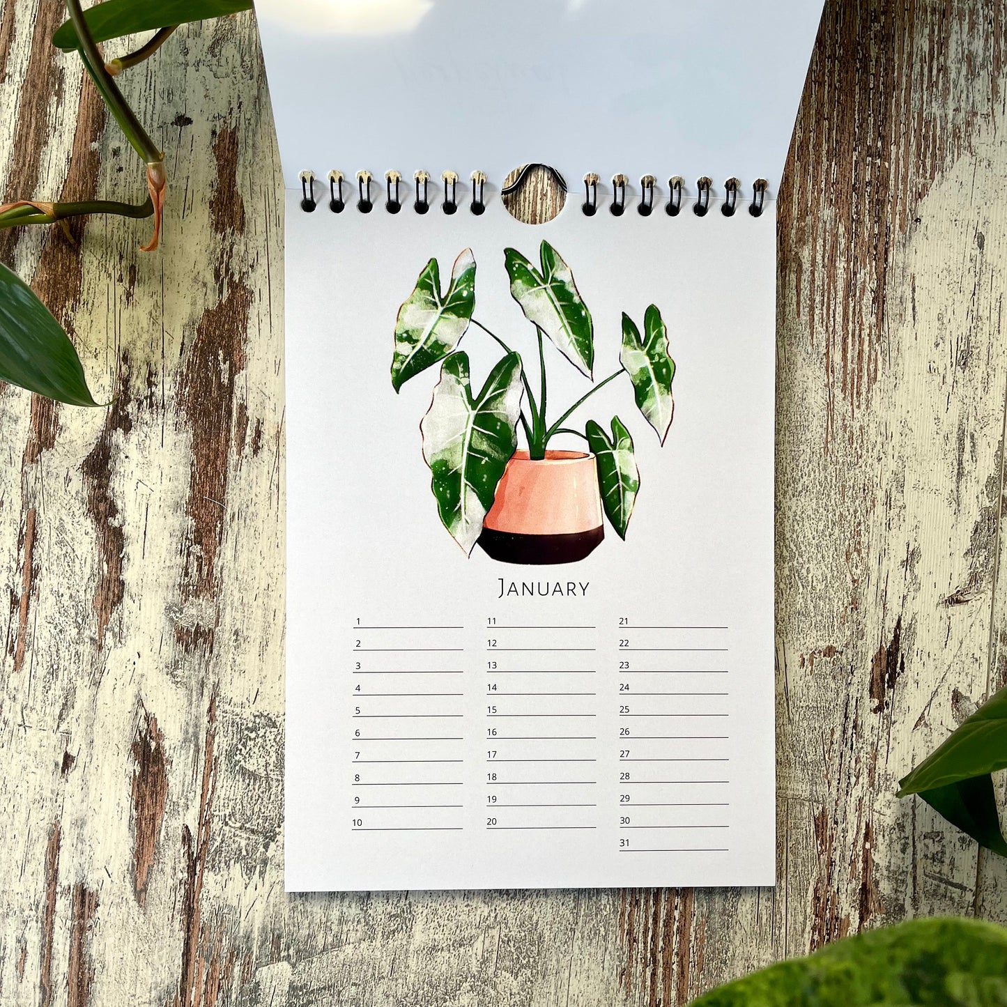 A5 calendar with green plants in without year