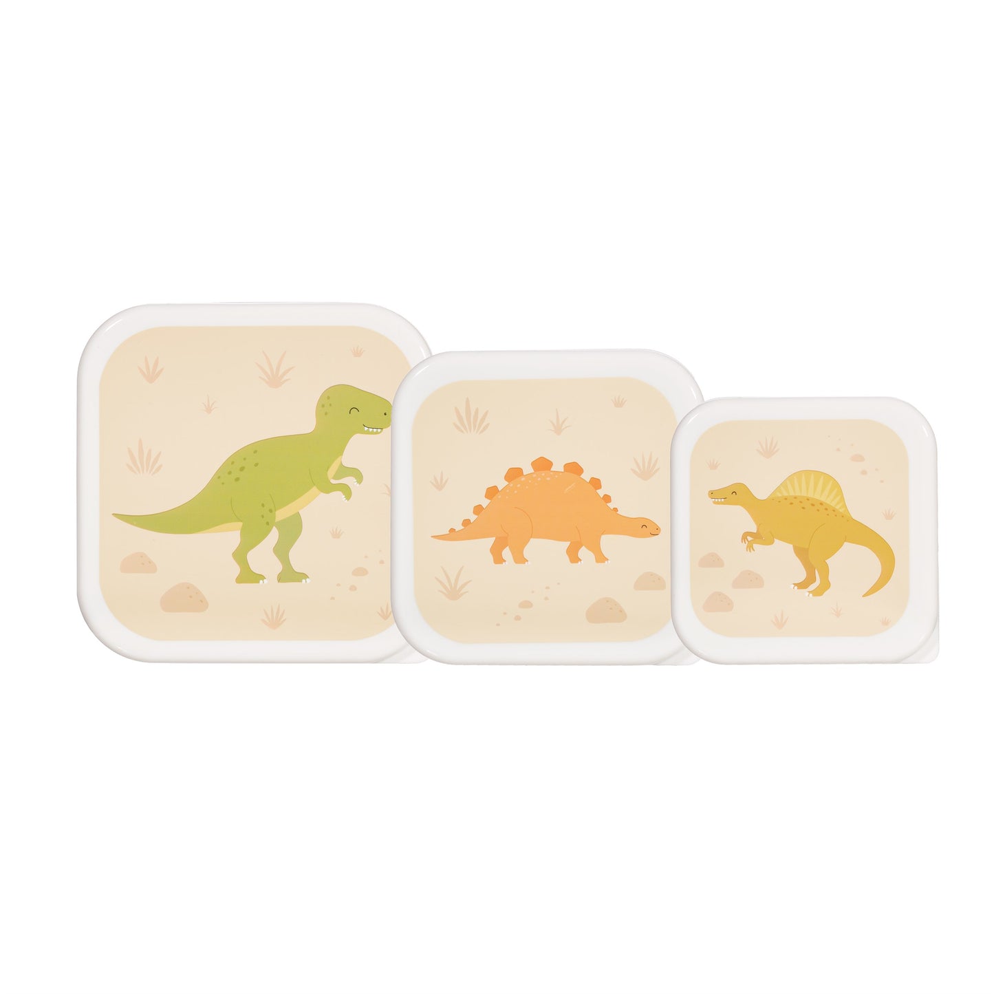 Desert Dino Lunch Boxes - Set Of 3