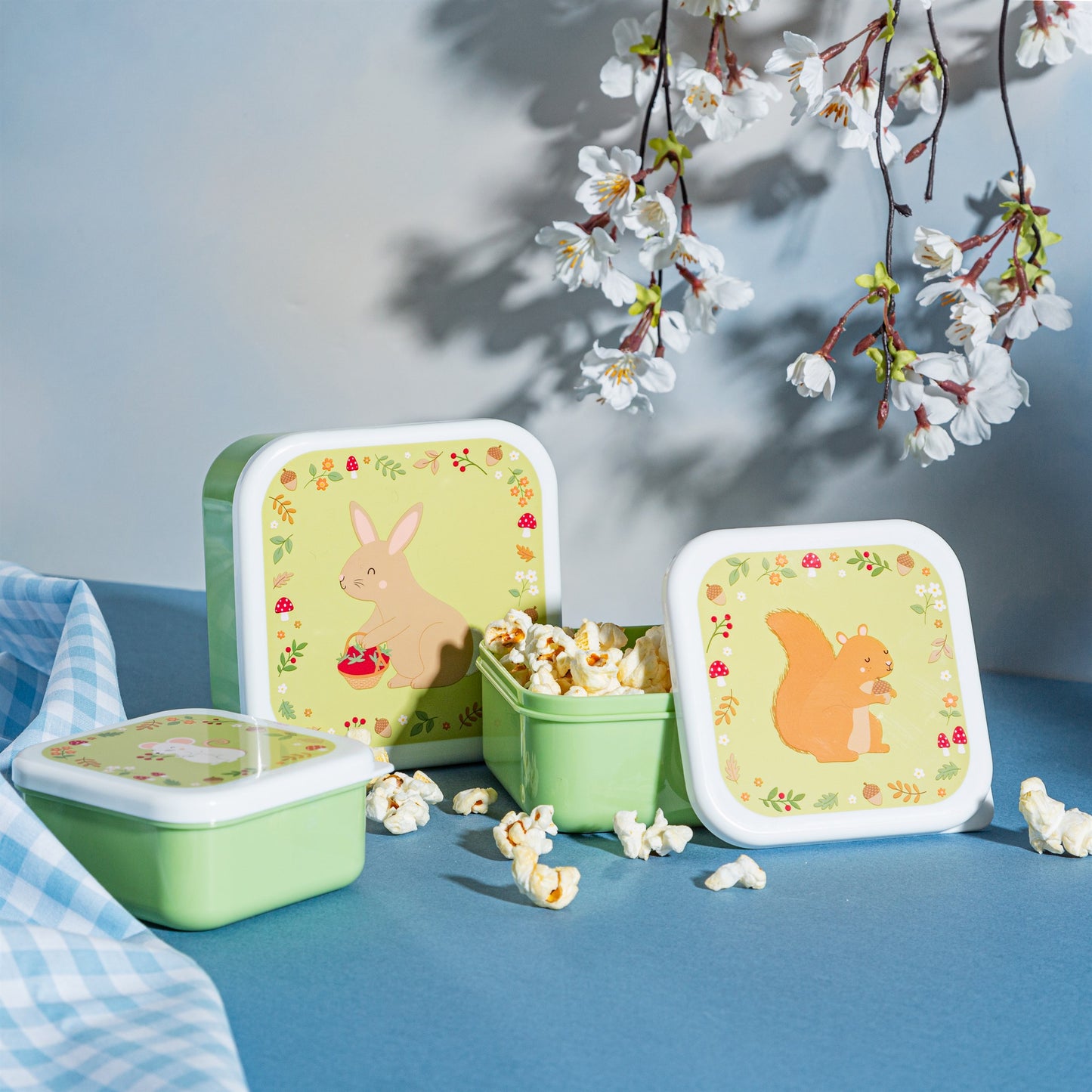 Garden Friends Lunch Boxes - Set Of 3