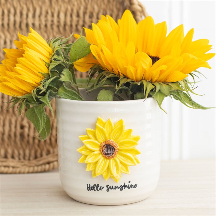 Hello Sunshine Ceramic Plant Pot