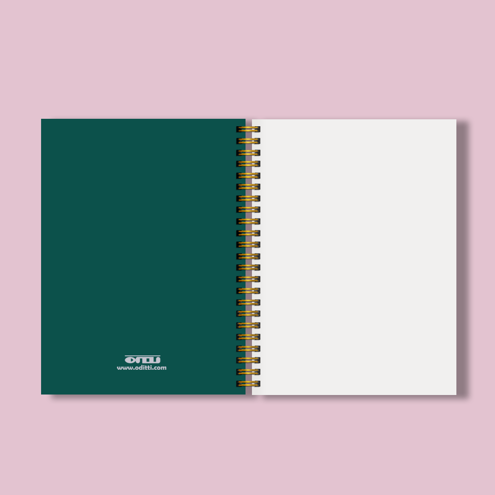 Gold Foil Hummingbirds A5 Notebook