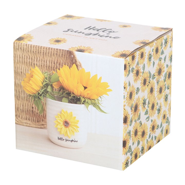 Hello Sunshine Ceramic Plant Pot