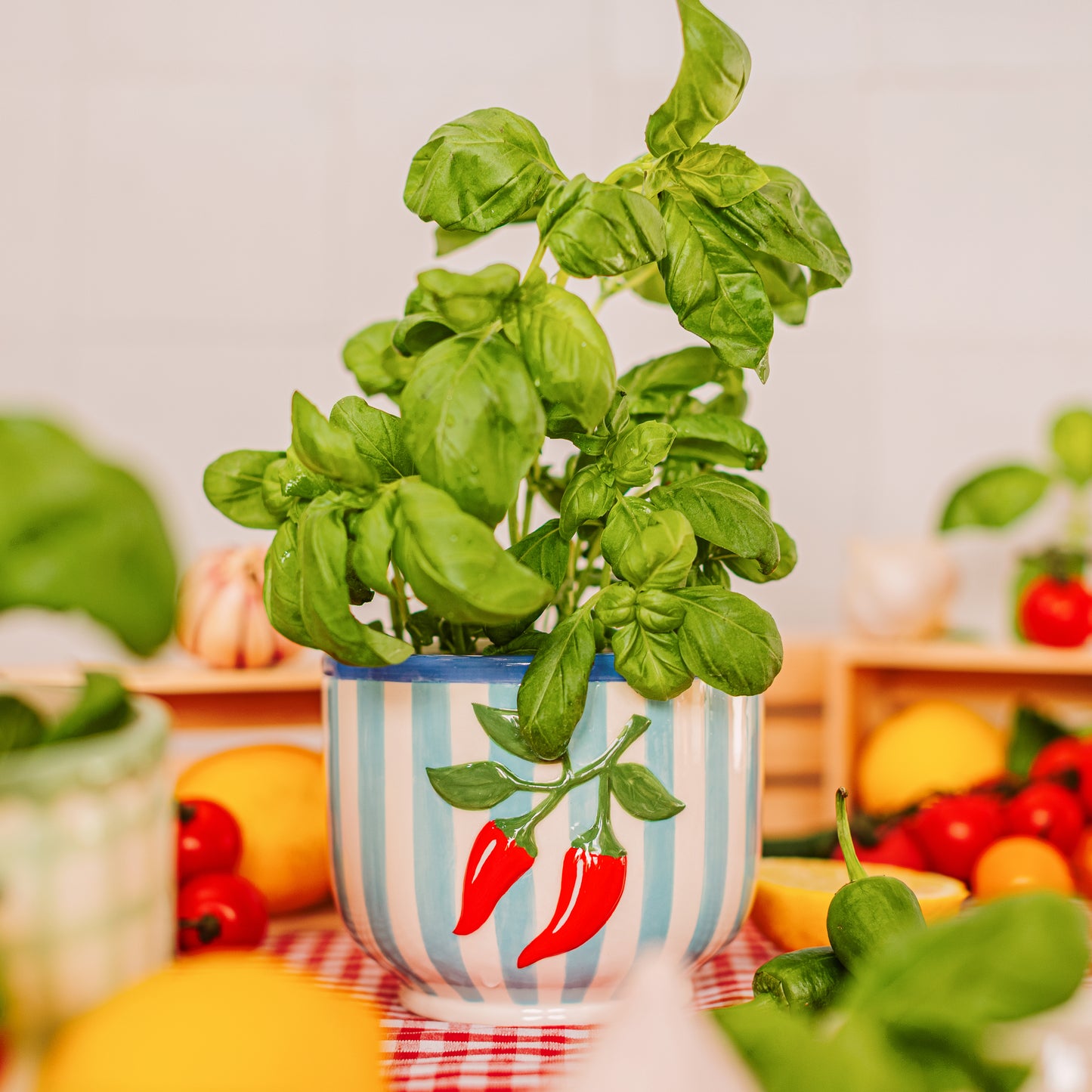 Handpainted Chilli Pepper Planter – Sass & Belle