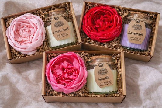 🌸 Petite Peony Glow Gift Box