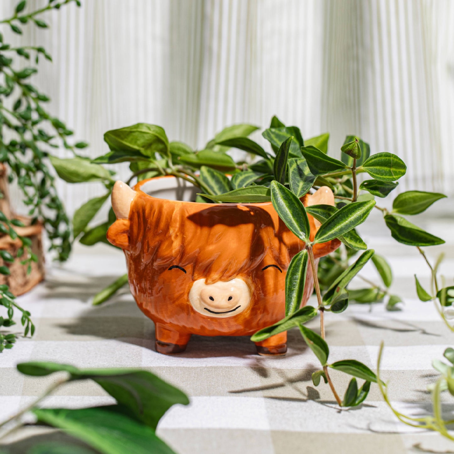 Mini Highland Cow Planter on Legs