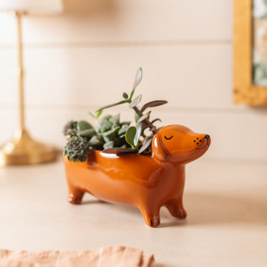Sausage Dog Trinket Dish