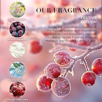 Baylis & Harding Festive Edition Luxury Assorted Bathing Gift Set