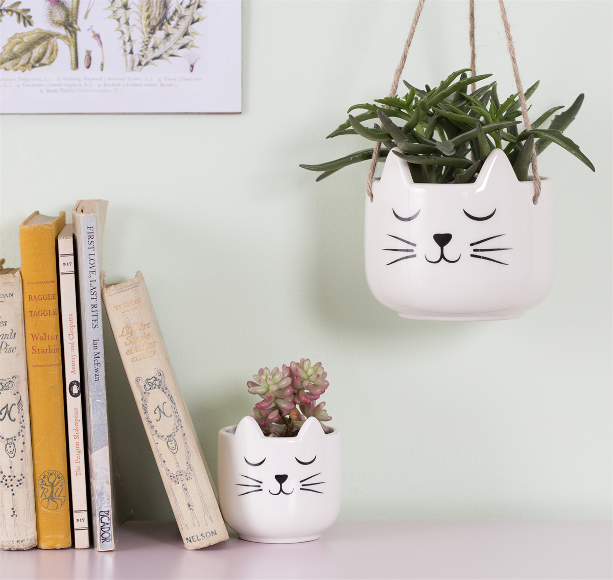 Cat's Whiskers White Hanging Planter